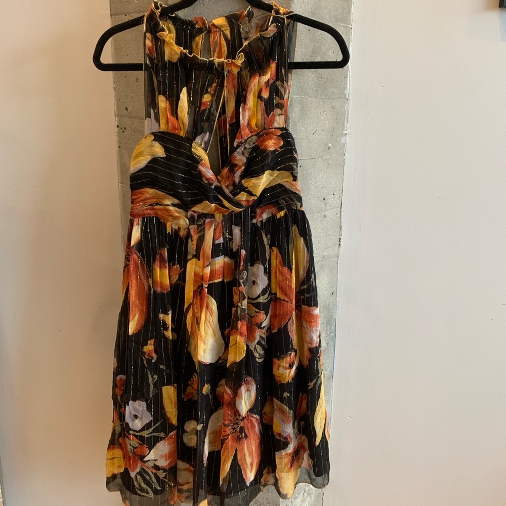 Anna Sui for Anthropology Dress 2